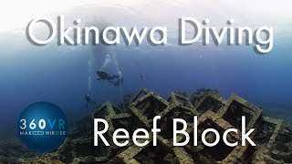 水中VR Okinawa Diving [ Reef Block ] 沖縄慶良間諸島座間味島　Underwater 360VR