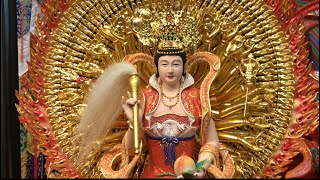 【清净系列】萬佛手無極眼瑤池金母大天尊  Golden Mother with Infinite Hands and Eyes #大家一起來過火 #HomaBlessing