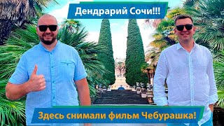 Парк Дендрарий в Сочи! Здесь снимали фильм Чебурашка!