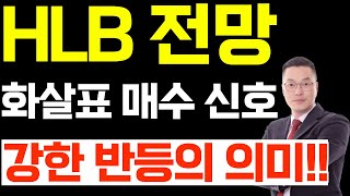 HLB 주가 전망, 조건부 화살표 매수 신호 발생, 강한 반등의 의미!!