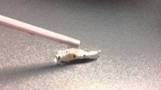 The Straw Wrapper Worm Trick