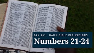 DAY 261 | Numbers 21-24 | The Bible in A Year