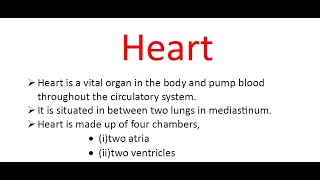 overview of heart with theory @V2MAMNURSING CLASSES