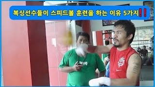 복싱선수들이 스피드볼 훈련을 반드시 하는 이유 5가지