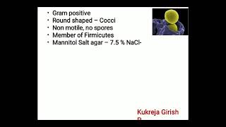 #Micro30 Medical Microbiology - Staphylococcus aureus - general characters #shorts