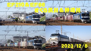 【貨物列車】さくら夙川＆神崎川【2023/12/8】