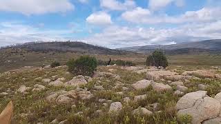 Near Brooks Hut, Kosciusko 24/01/25