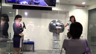 Static electricity demonstration - Toshiba Science Museum