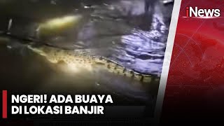 GEGER! Seekor Buaya Berukuran Besar Muncul di Lokasi Banjir, Makassar | iNews Pagi | 14/02