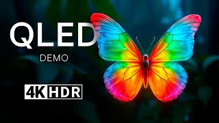 The Butterfly In The Nature QLED Demo In HDR 4K Ultra HD Dolby Vision 60 fps