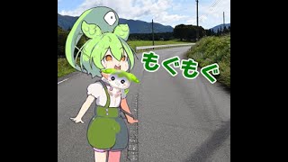 【22連発】過呼吸しながらずん虐とずんエッッを交互にずんだもん#Shorts