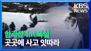 ‘한라산 1m 폭설’ 곳곳 사고 잇따라…‘월동 무’ 피해도 우려 / KBS  2021.12.28.