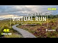 Virtual Run - Trail Run 4K - Treadmill Workout -Cradle Mountain - Scenery Tasmania