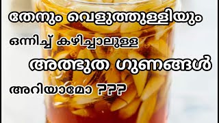 തേനും വെളുത്തുള്ളിയും ചേർത്ത് കഴിച്ചാലുള്ള അത്ഭുത ഗുണങ്ങളറിയാം|| beauty life with sabeena