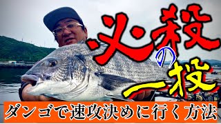 【かかり釣り】ダンゴの使い方を考える