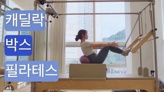 캐딜락 X 박스 필라테스 : 서서 ➡️ 앉아서 ➡️  누워서 순서의 시퀀스🦋