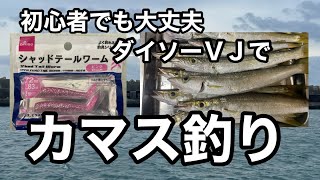 【カマス】初心者もタダ巻きで釣れるコスパ最強ダイソーＶＪ秋のカマス釣り2022.11