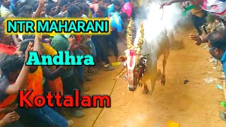 NTR MAHARANI |Kottalam Street |Andhra |@TamizhRock #eruthukattu