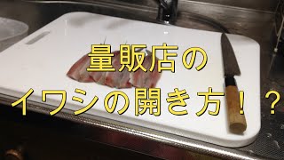 【イワシ】量販店のいわしの開き方！？最後は刺身にフライに！