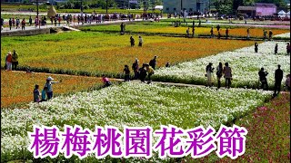 Taoyuan Flower Festival ~ 2020桃園花彩節楊梅展區 ~ 彩虹花田復刻老屋 * 市長蒞臨開幕百人茶席