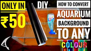 How To Change Aquarium background To Any Color At Home | How To Make Aquarium background Black | DIY