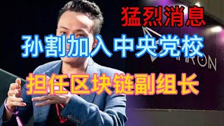 孙宇晨自曝加入中央党校，一个全新的时代来临！