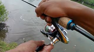 Ultralight fishing|memburu SIAKAP LIAR di paya bakau|shortvlog2...