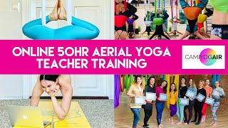 Online 50hr Aerial Yoga Teacher Training Course Level 1 with CamiyogAIR