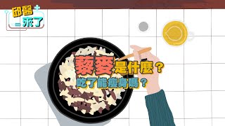 【邱醫來了】藜麥是什麼？吃了能瘦身嗎？具體應該怎麼吃呢？