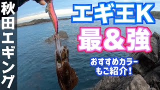 【秋田エギング】エギ王Kおすすめカラーご紹介！