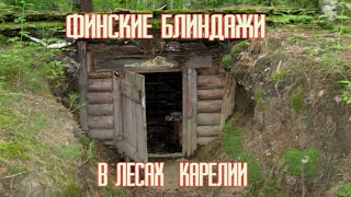 Нашёл финские блиндажи всё лежит нетронутым инструмент и много латуни.