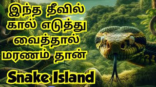 இந்த தீவில் கால் எடுத்து வைத்தால் மரணம் தான் | Snake Island | பாம்பு மட்டுமே வாழும் தீவு