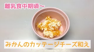 【離乳食中期頃～】みかんのカッテージチーズ和えの作り方、簡単レシピ