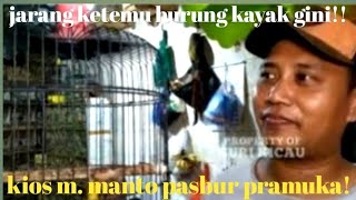 jarang ketemu burung kayak gini!! kios mas manto pasbur pramuka!