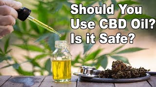 Should You Use CBD Oil? Is it Safe?