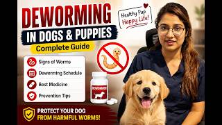 Your Puppy May Have Worms! Watch This First| Puppy Deworming Explained When & How to Deworm Your Pup