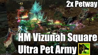 Vizunah Square HM - Guild Wars (Double Petway)