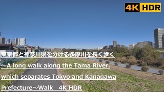 東京都と神奈川県を分ける多摩川歩く～Long walk along the Tama River, which separates Tokyo and Kanagawa～Walk　4K HDR