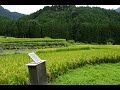 2014.08.29 愛知県新城市の『四谷の棚田（千枚田）』に少し入った付近から周りを見てみました♡