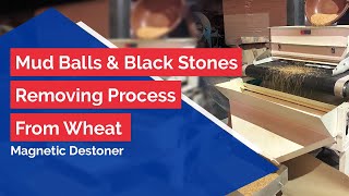 Mud Balls \u0026 Black Stones Removing Process From Wheat - Magnetic Destoner