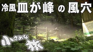 天然の冷蔵庫～愛媛県東温市～上林森林公園｜小さめな旅(127)｜2022.08.21 /Natural Refrigerator - Toon City- Kanbayashi Forest Park