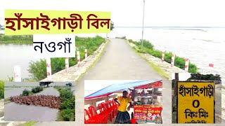 হাঁসাইগাড়ী বিল (নওগাঁর কক্সবাজার)| অপরূপ সৌন্দর্যের লীলাক্ষেত্র | Hasaigari Bil, Naogaon | অচিন পাখি