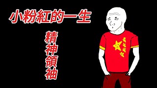 小粉紅的一生...精神領袖｜Wojak