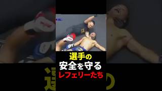 選手の安全を守るレフェリーたち【格闘技】