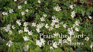 025 SDA Hymn - Praise the Lord His Glories Show (Singing w/ Lyrics)