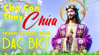 CHO CON THẤY CHÚA - Nhạc Thánh Ca Công Giáo Đặc Biệt - Nghe Để Chúa Ban Phước Và Dõi Theo