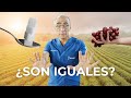 Desmintiendo Mitos: Frutas y Azúcar ¿Son iguales en la Dieta Diabética?