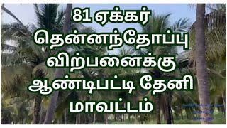 Theni District 81 acre coconut farm sales near Aundipatti.#agriculture