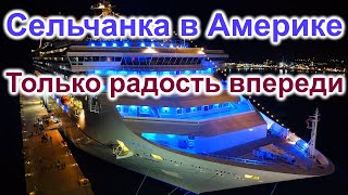 Сельчанка в Америке.Только радость впереди