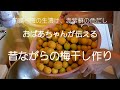 【梅干しの作り方}】☆前編 ～保存が効く塩分１５％で作る梅干し/ややしょっぱめの梅干し/昔ながらの梅干し作り